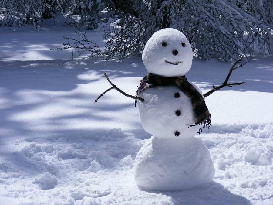 Although itll never get this cold...sadly, snowmen are a great way to have fun in the cold!