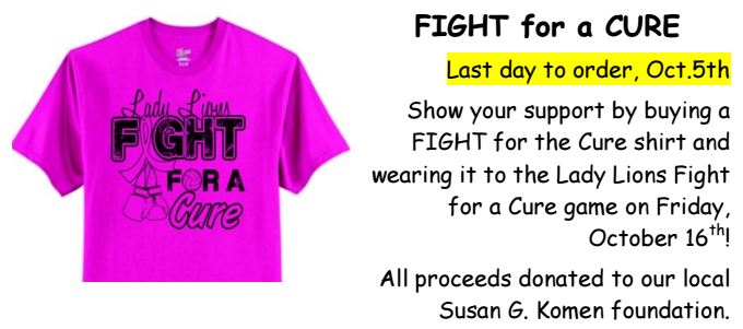 An image of the shirt with additional information about the fundraiser. This flyer was designed by the volleyball booster club to benefit sales.