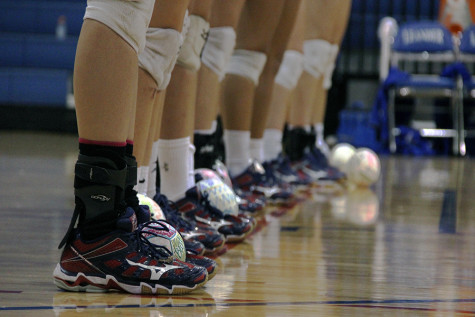 The Lady Lions lined up prior to a game. They do this before each game when getting announced to the crowd. 