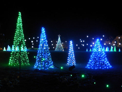 These are the types of Christmas lights displayed on the Trail of Lights in Austin. It will be open from December 4th till December 22nd.
