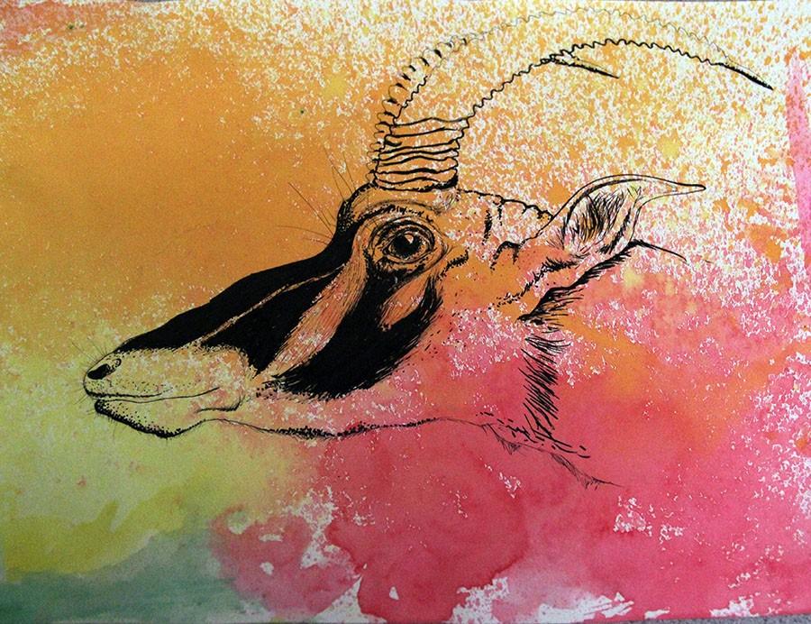 Junior Steffannie Maynard’s watercolor drawing. This artwork features what appears to be a detailed Stag on a watercolor background. It captures the concept of mixed-media artwork perfectly.