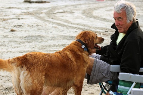 A man on the beach with his golden retriever Gracie. He owns two golden retrievers and loves them both dearly, the pictured one being 5 and the other 15.