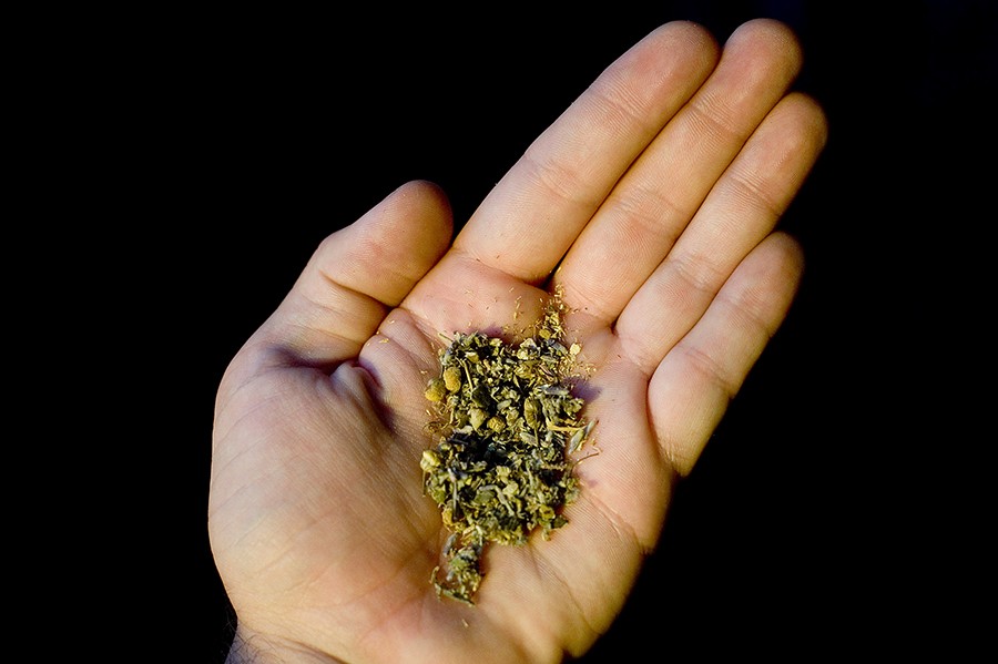 A handful of K2. The drug has similar looks to marijuana, but is not nearly the same.