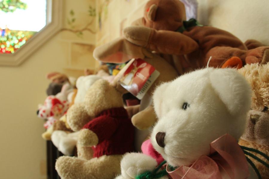 A collection of stuffed animals the center uses in therapy. This helps to provide a sense of not being alone to a child or adolescent in interviews.