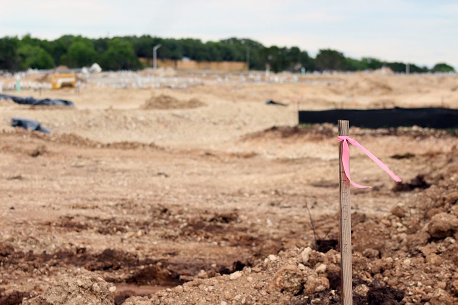 A marker in the plot that was recently deforested off Lakeline. This area is a soon to be subdivision.