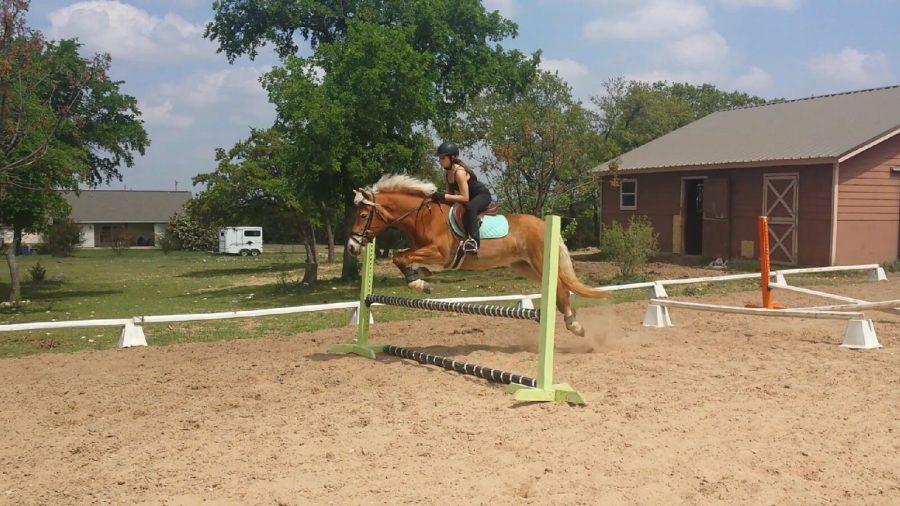 Lexi+Cruz+practices+long+jump+with+her+horse+Paisley.+She+has+been+riding+Paisley+for+two+years.