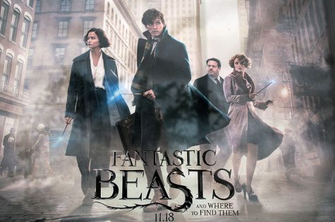Fantastic Beasts and Where to Find them was set in the 1920s, before any of the events of the Harry Potter franchise occurred. It follows the story of Newt Scamander, a magizoologist. 