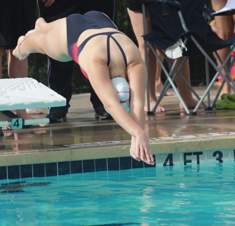 Tanja Milanovic dives into the water. She earned a scholarship to Wyoming State University.
