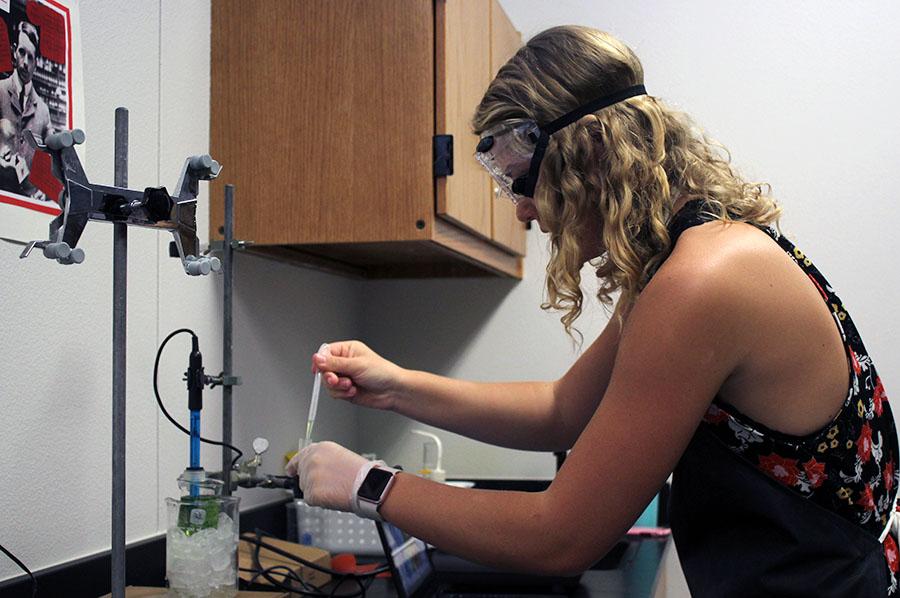 Junior Emma Aldred works on her experiment for her Internal Assessment in chemistry. She is taking a Higher Level exam on the subject in her senior year.