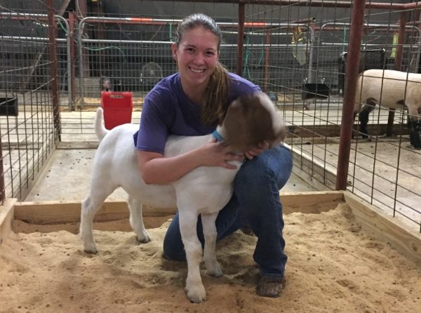Brieanna Damron, an officer in FFA, raises a goat and a pig. They both live at Leander High School. 