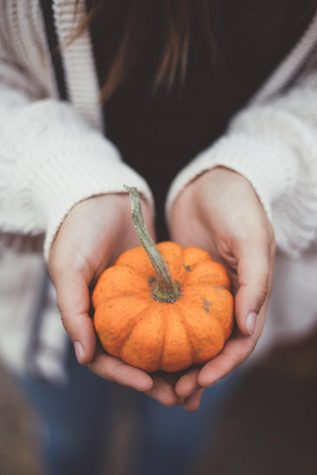 People are already getting their pumpkins ready for this fall season.