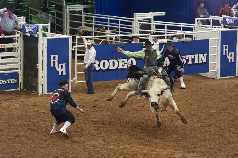 Rodeo Austin is a two week long event held in Downtown Austin. There are many things to do such as fair rides, games, food and stock shows.