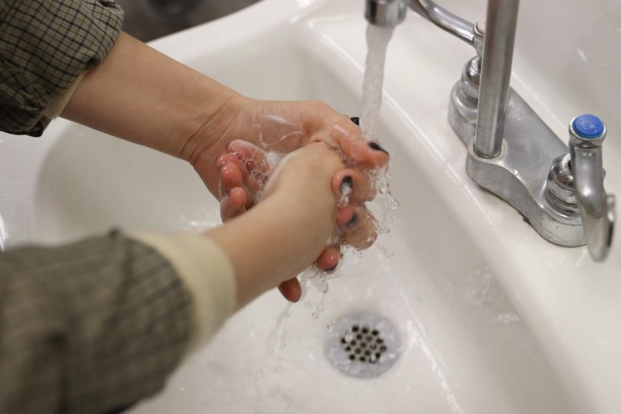 Senior Olivia Rutherfurd shows that one of the easiest ways to stay flu-free is by washing your hands.