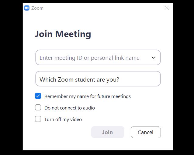 Take this quiz to find out what kind of Zoom student you are.
