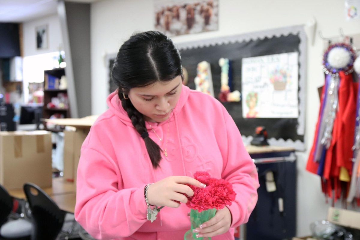 Delicately, senior Kamila Jaimes arranges her bouquet in order to perfect its shape. Jaimes was the last to finish her bouquet for fear of ruining the delicate flowers. “I started a little late and I couldn’t figure out how to get the [bottom layer] to fit,” Jaimes said. “I didn’t want to force them and kill them… I think what was stopping me was that I didn’t want to wilt them, but once I got the courage, I squeezed them together. I figured it out and [arranged] them in the vase.”