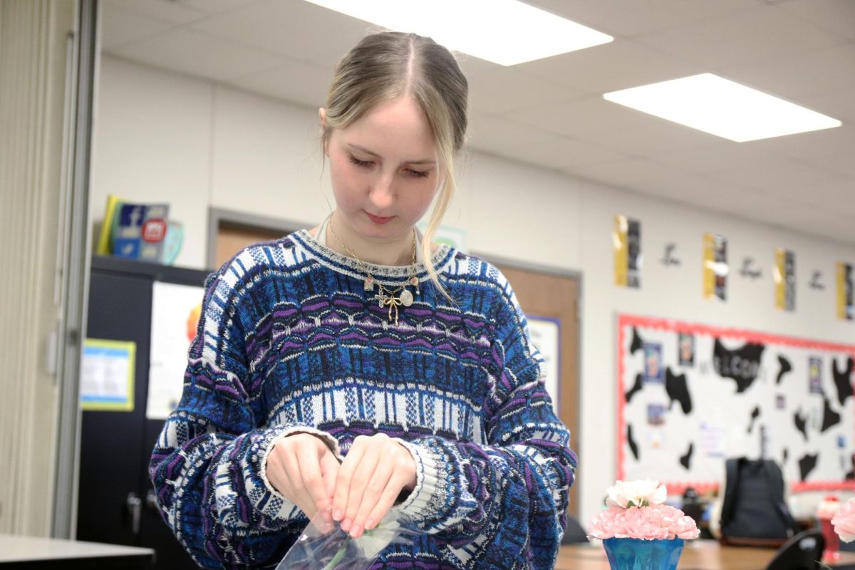 Peeling the plastic away from her final carnation, junior Laura Hutton carefully extracts her delicate bud to use in her arrangement. Despite their long vase-life, the carnations' heads proved likely to fall off given too much force, compelling students to handle them gently. “My favorite thing about Floral Design is when we get to make unique decorations and arrangements,” Hutton said. “It’s really fun because I get to talk with my friends while I create.”
