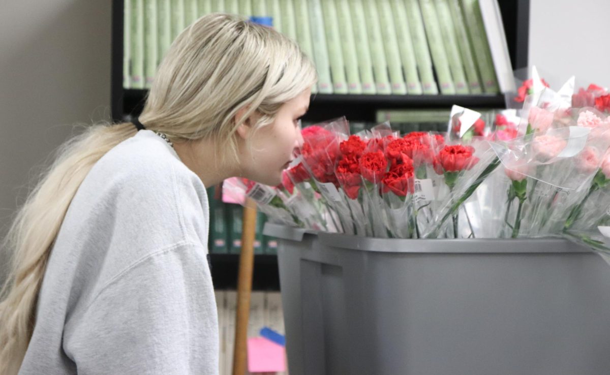 In a quiet moment between instruction , junior Kelsey Bigler slows to smell the flowers. A delay to shipment almost caused a postponement of the assignments, but the issue was quickly solved to allow students to create Valentine's Day themed designs. "Going into this project, I didn't know it was going to be a milkshake,” Bigler said. “As we started forming the flowers and I saw people adding straws, it made a lot more sense. I like projects like this because we get to… be creative and use our imagination.”
