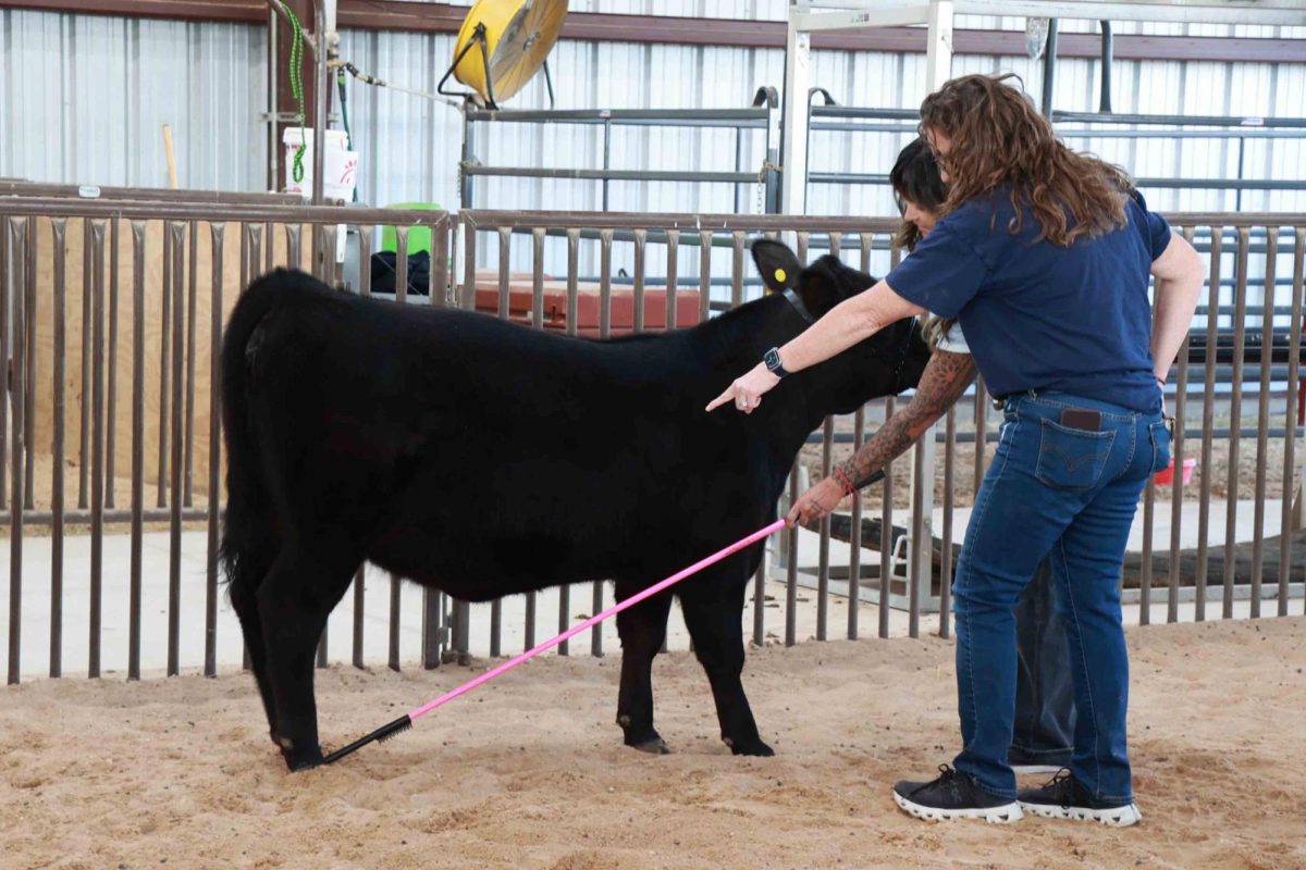 Agriculture and Animal Science teacher Emily Veraa shows American Sign Language teacher Mayra Alcaraz the proper stance for showing a cow. 
