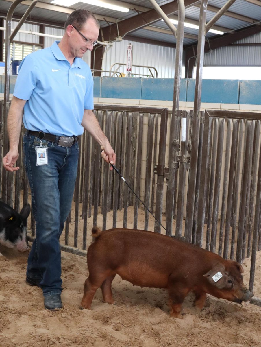 LISD Superintendent Bruce Gearing walks a pig around at the LHS FFA faculty show. Photo by Marilyn Rutschman